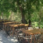 Winery tour with Wine and Olive tasting in Corfu - A Closer Look at the Corfu Winery Tour Experience