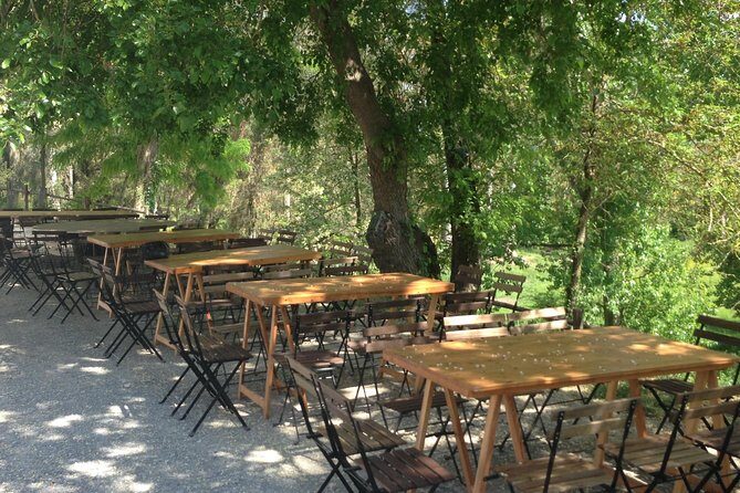 Winery tour with Wine and Olive tasting in Corfu - A Closer Look at the Corfu Winery Tour Experience