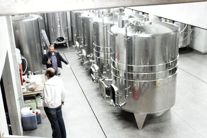 Wines Unknown - Istrian nOrdinary Wine tour - What Makes This Tour Stand Out?