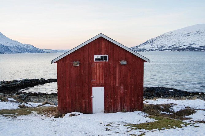 Winter Fjord Road Trip with Citizen Science with Wandering Owl - What Makes This Tour Stand Out