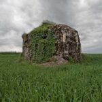 World War I Tour of Northern France; the Argonne Forest - Key Points