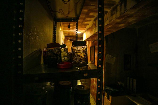 Xcape Room Bcn: The diary of Miko - FAQ: Your Quick Guide to Xcape Room Bcn: The Diary of Miko