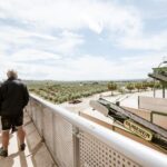 XXI Century Olive Oil Mill Tour - In-Depth Review of the Olive Oil Mill Tour