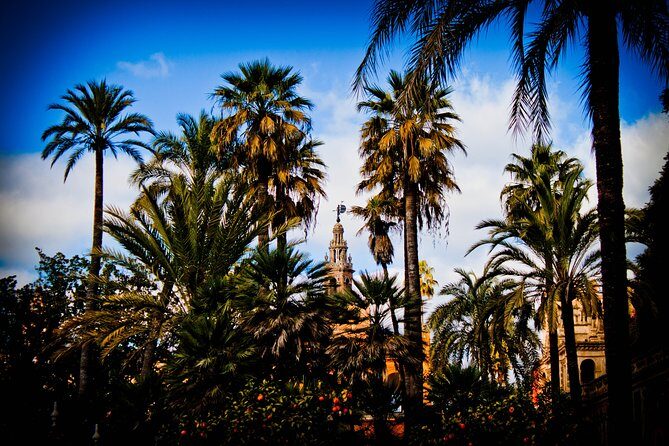 Your First day in Sevilla. - Who Should Consider This Tour?