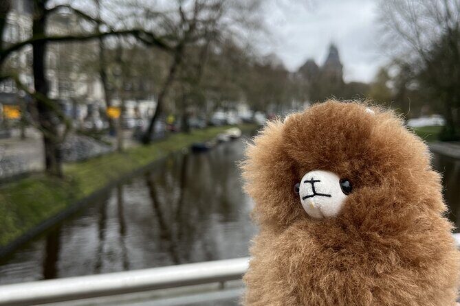 Zaanse Schans Edam Volendam Private Day Tour from Amsterdam - What We Loved and What to Keep in Mind