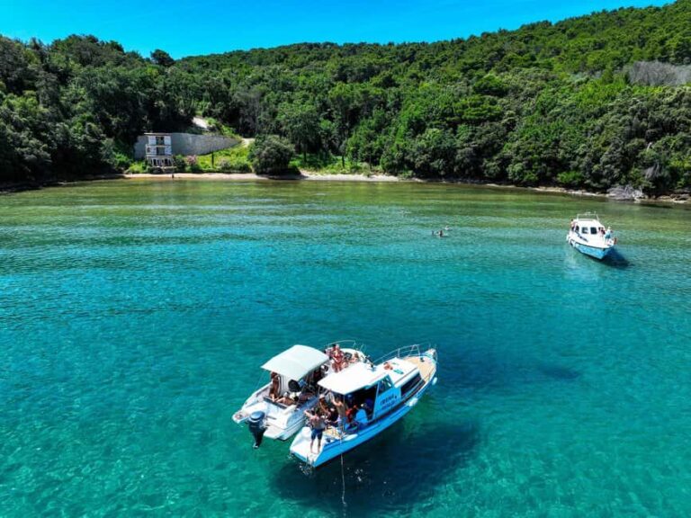 Zadar: Boat Tour with Snorkeling and Drinks - Why This Tour Offers Great Value