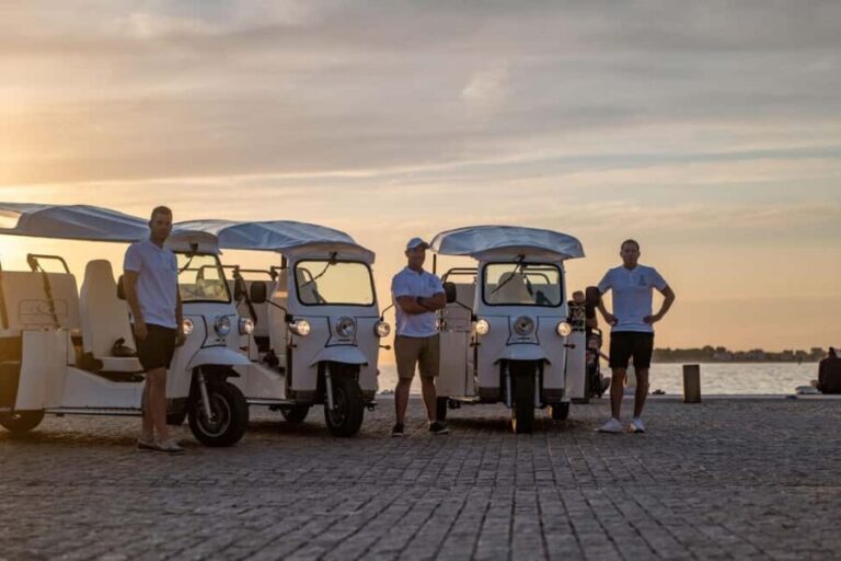 Zadar: City and Wine panoramic tour - The Value of the Experience