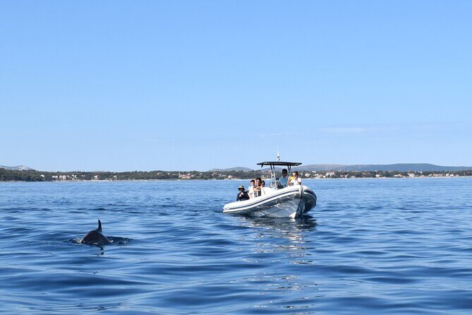 Zadar: Dugi Otok Island - 2x Snorkeling & Sandy Beach - 7 hr - Authentic Experiences and Customer Feedback