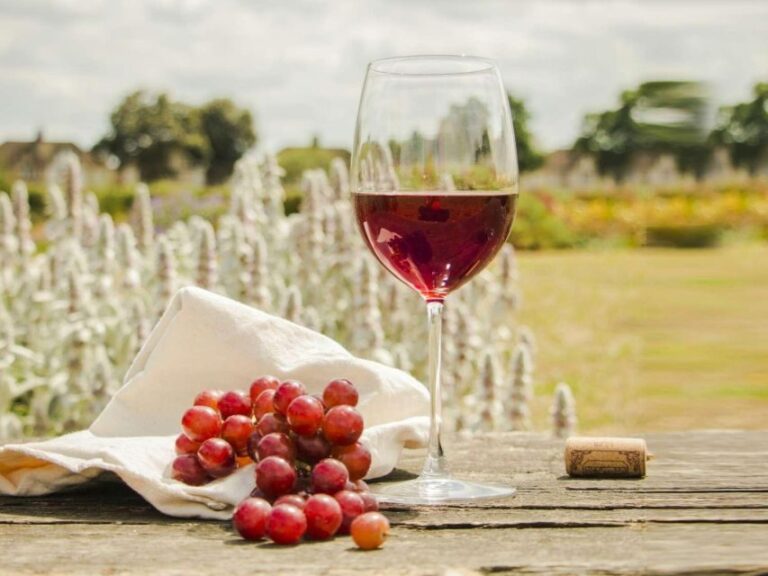 Zakynthos/Wine tasting- - An In-Depth Look at the Zakynthos Wine Tasting Tour