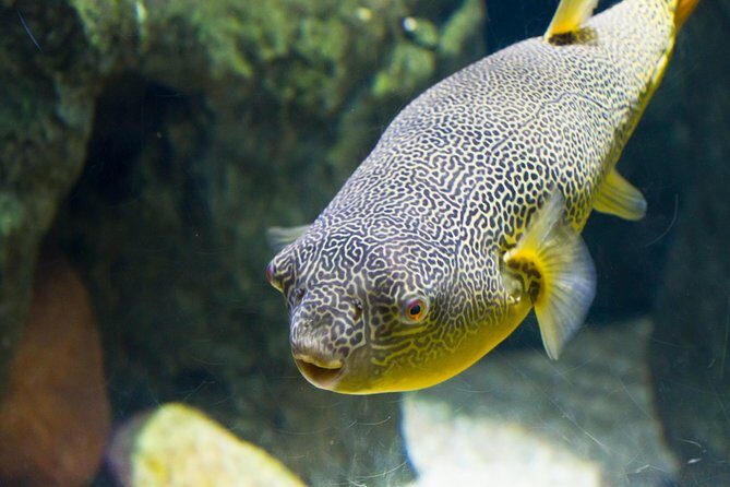Zaragoza Aquarium Admission Ticket - Who Should Consider Visiting?
