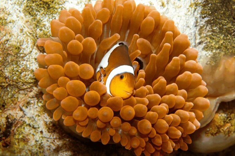 Zaragoza : Aquarium entry ticket - Who Will Enjoy This Experience?