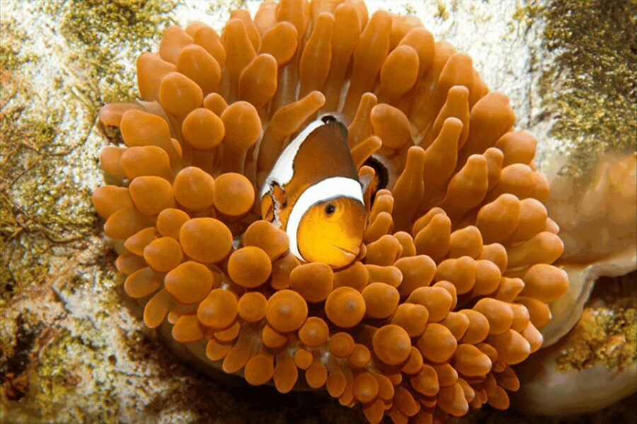 Zaragoza : Aquarium entry ticket - Who Will Enjoy This Experience?