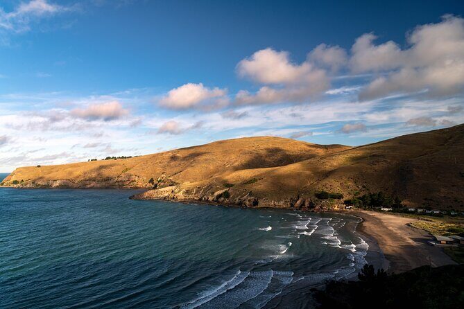 1/2-day Christchurch Scenic Highlights (Private Tour) - Who Is This Tour Best For?