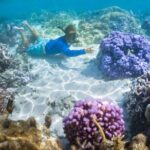 1/2 day Tahaa coral garden - departure Raiatea / ideal for cruise passengers - Authenticity, Value, and Tips