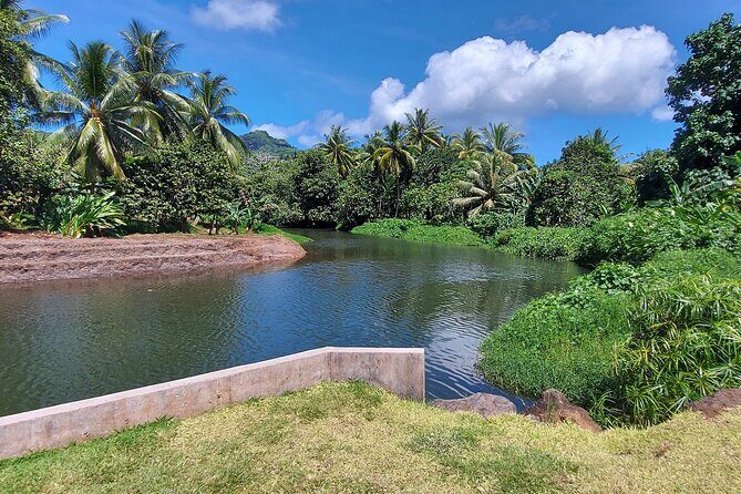 1/2 day "Treasures of Raiatea" by boat - ideal for cruise passengers - The Practicalities: What to Expect and How to Make the Most of It