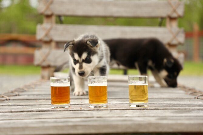 1.5-Hour Beer and Puppies Guided Experience in Fairbanks - An In-Depth Look at the Fairbanks Puppy and Beer Tour