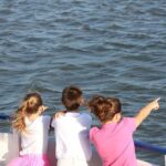 1.5-Hour Charleston Harbor Cruise with Live Narration - Who Should Book This Tour?