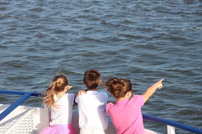 1.5-Hour Charleston Harbor Cruise with Live Narration - Who Should Book This Tour?