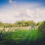 1.5-Hour Swanaford Vineyard Tour And Tasting Experience - An In-Depth Look at the 1.5-Hour Swanaford Vineyard Tour and Tasting