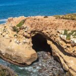 1.5 Hour Walking Tour from La Jolla in San Diego - Authenticity and Experience