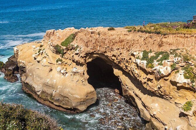 1.5 Hour Walking Tour from La Jolla in San Diego - Authenticity and Experience