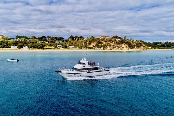 1.5hour Scenic and Wildlife luxury cruise - Who Will Love This Cruise?