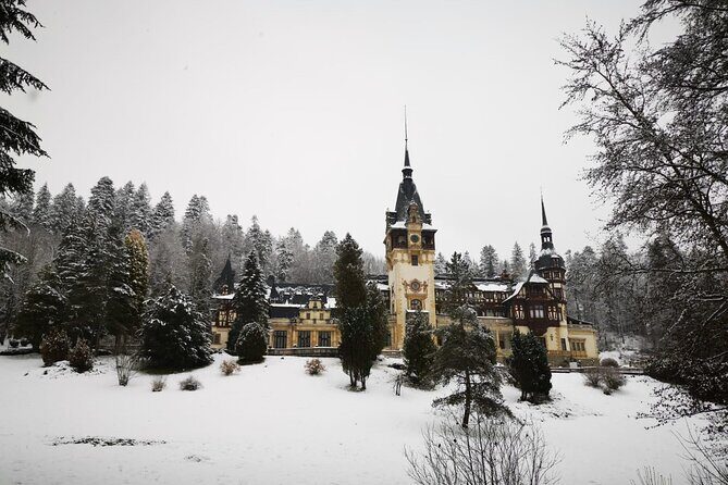 1 Day Castles Tour - Sinaia and Bran - Who Should Consider This Tour?