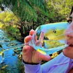 1-Day Cruise in Queen Charlotte Track & Kupes Trail Walk - Exploring the Marlborough Sounds: An Authentic and Thoughtful Experience