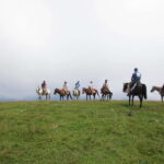 1 Day Horse Riding Adventure in Borjomi Mountains - A Detailed Look at the Horse Riding Adventure in Borjomi