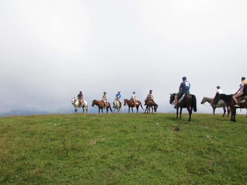 1 Day Horse Riding Adventure in Borjomi Mountains - A Detailed Look at the Horse Riding Adventure in Borjomi