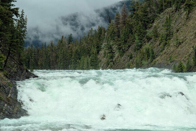 1 Day of Banff Viewpoints Lakes Bow Valley in Private Custom Tour - Who Would Love This Tour?