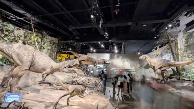 1 Day of Drumheller Dinosaurs and Badlands Guided Tour - Exploring Albertas Dinosaur and Badlands Treasure Trove