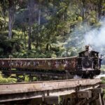 1 day Puffing Billy Steam Train and Wildlife Tour from Melbourne - The Practical Side: What to Expect