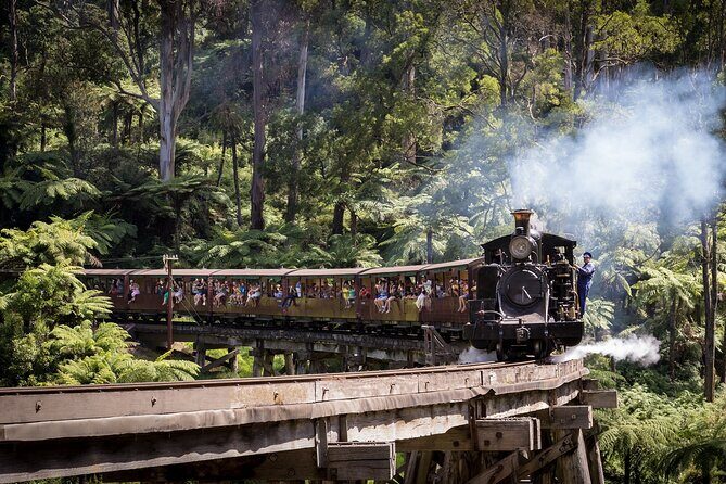 1 day Puffing Billy Steam Train and Wildlife Tour from Melbourne - The Practical Side: What to Expect