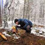1-Day Small-Group Stockholm Nature Hiking - The Value of This Nature Hike