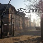 1 Day Trip Auschwitz-Birkenau Memorial and Museum Guided Tour from Krakow - The Sum Up: Is This Tour Right for You?