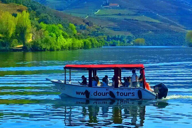 1-hour boat trip along the Douro River in Pinhão - Who Will Love This Tour?