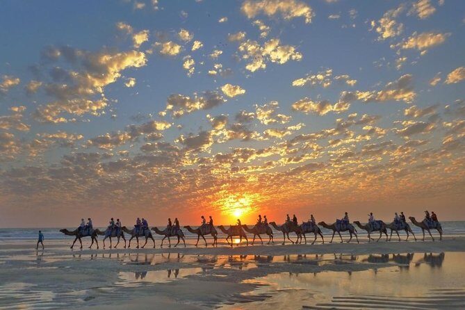 1 Hour Broome Sunset Camel Tour - The Sum Up