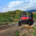 1 hour Buggy adventure - From Reykjavik - What Makes This Tour Stand Out?