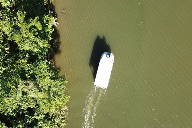 1-Hour Daintree River wildlife cruise - Who Should Consider This Tour?