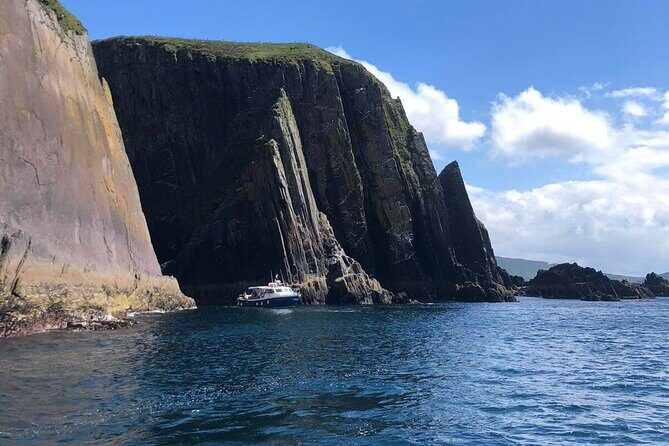 1 hour Dingle Bay Cliff Tour - The Sum Up: Who is This Tour Best For?