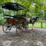 1 Hour Guided Carriage Tour in Killarney National Park - Who Will Love This Tour?