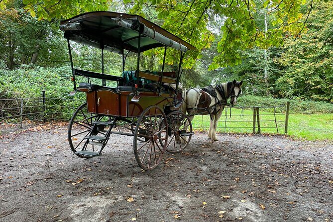 1 Hour Guided Carriage Tour in Killarney National Park - Who Will Love This Tour?