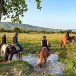 1-Hour Horse Riding Tour at Palomino Ranch Near Tbilisi - Who Will Love This Tour?