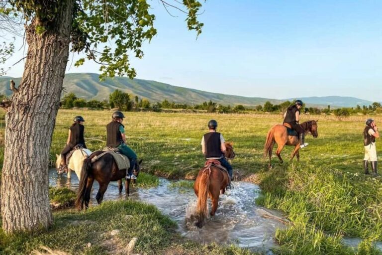 1-Hour Horse Riding Tour at Palomino Ranch Near Tbilisi - Who Will Love This Tour?