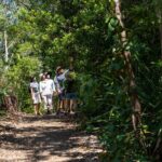 1 Hour Jumping Crocodile Cruise on the Adelaide River - The Sum Up
