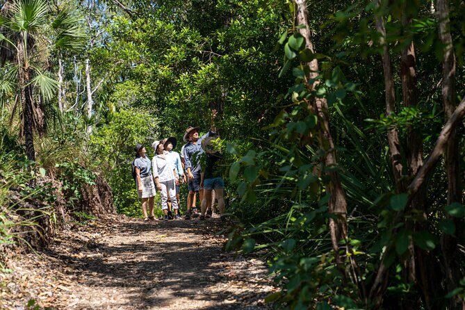 1 Hour Jumping Crocodile Cruise on the Adelaide River - The Sum Up