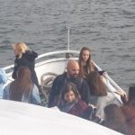 1-hour New York City Skyline Sightseeing Cruise - Considering the Price and Value