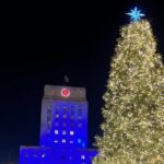 1 Hour Private Christmas Lights Tour in Houston - Key Points