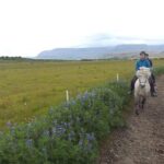 1+ hour Private Horse riding tour from Reykjavík/Mosfellsbær - A Well-Rounded, Authentic Icelandic Experience